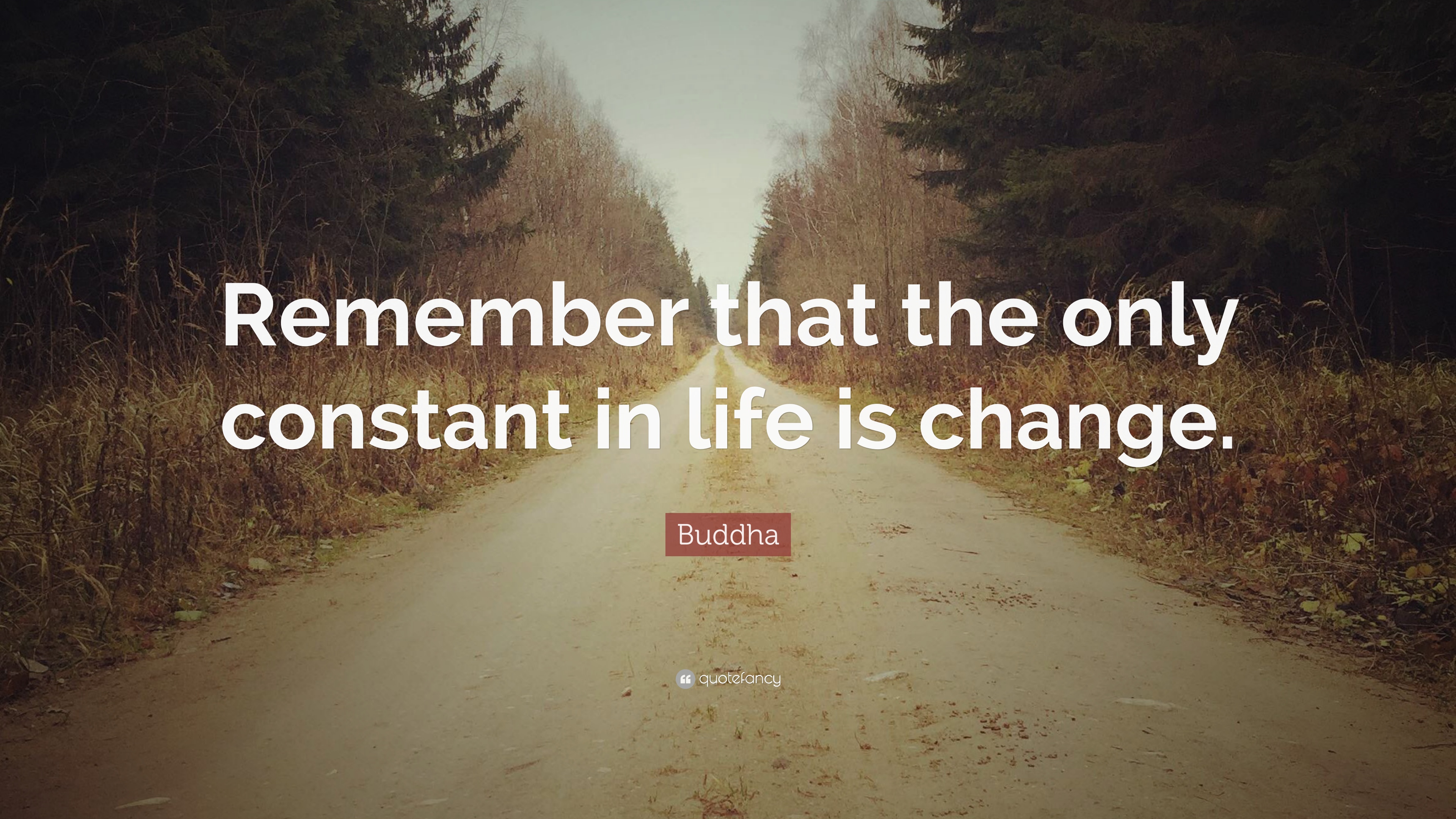 559172-Buddha-Quote-Remember-that-the-only-constant-in-life-is-change.jpg